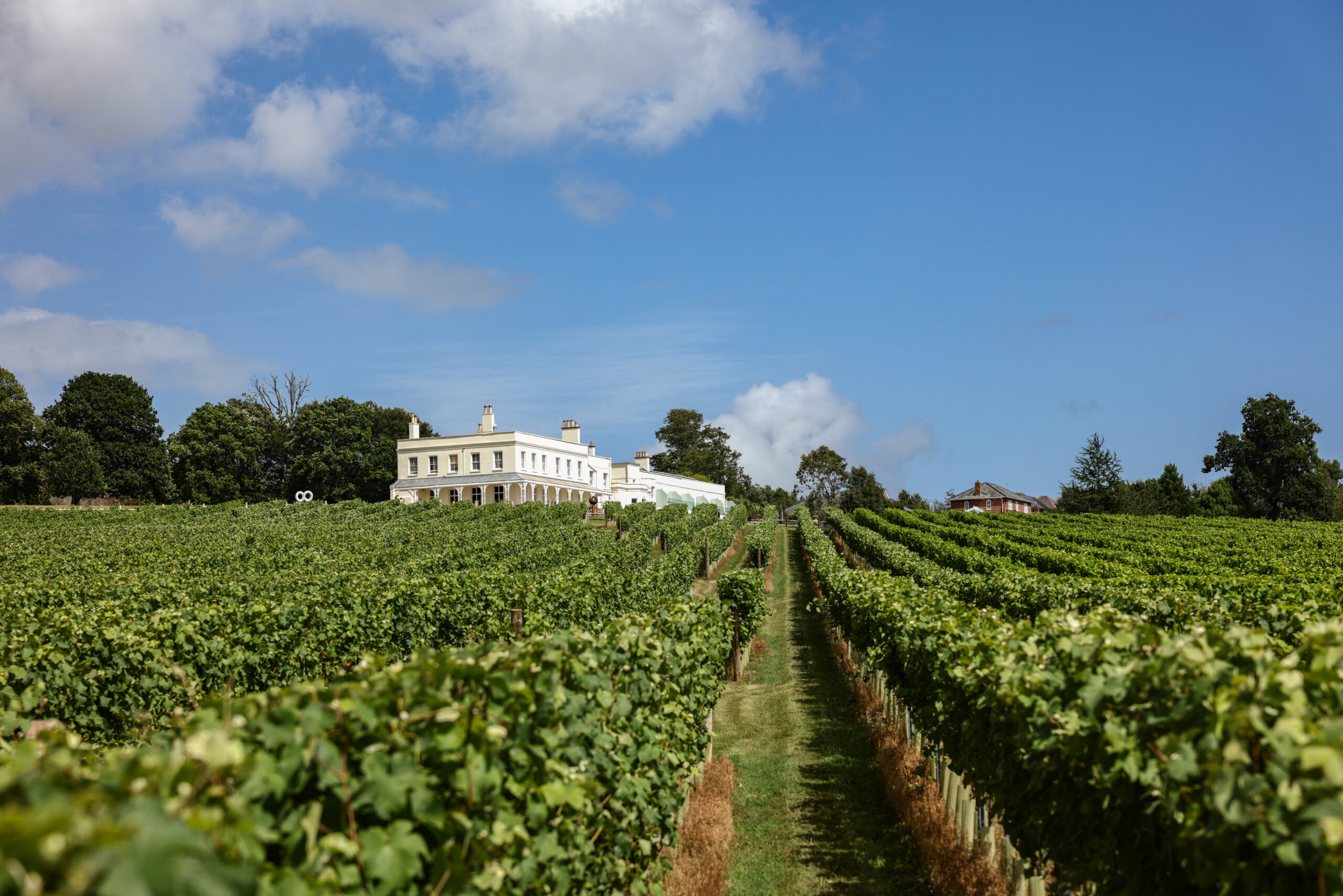 devon wine - lympstone manor vineyard and hotel