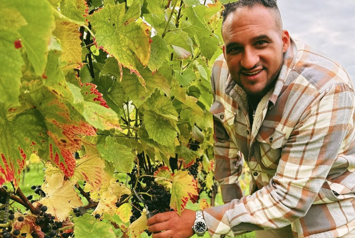 Michael Caines, chef owner, picking grapes in the vineyard